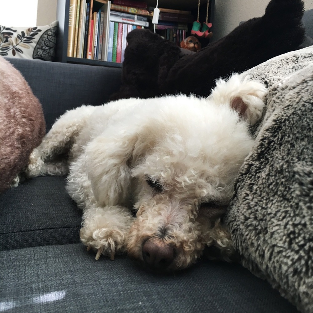 Meet your Posher, Camille